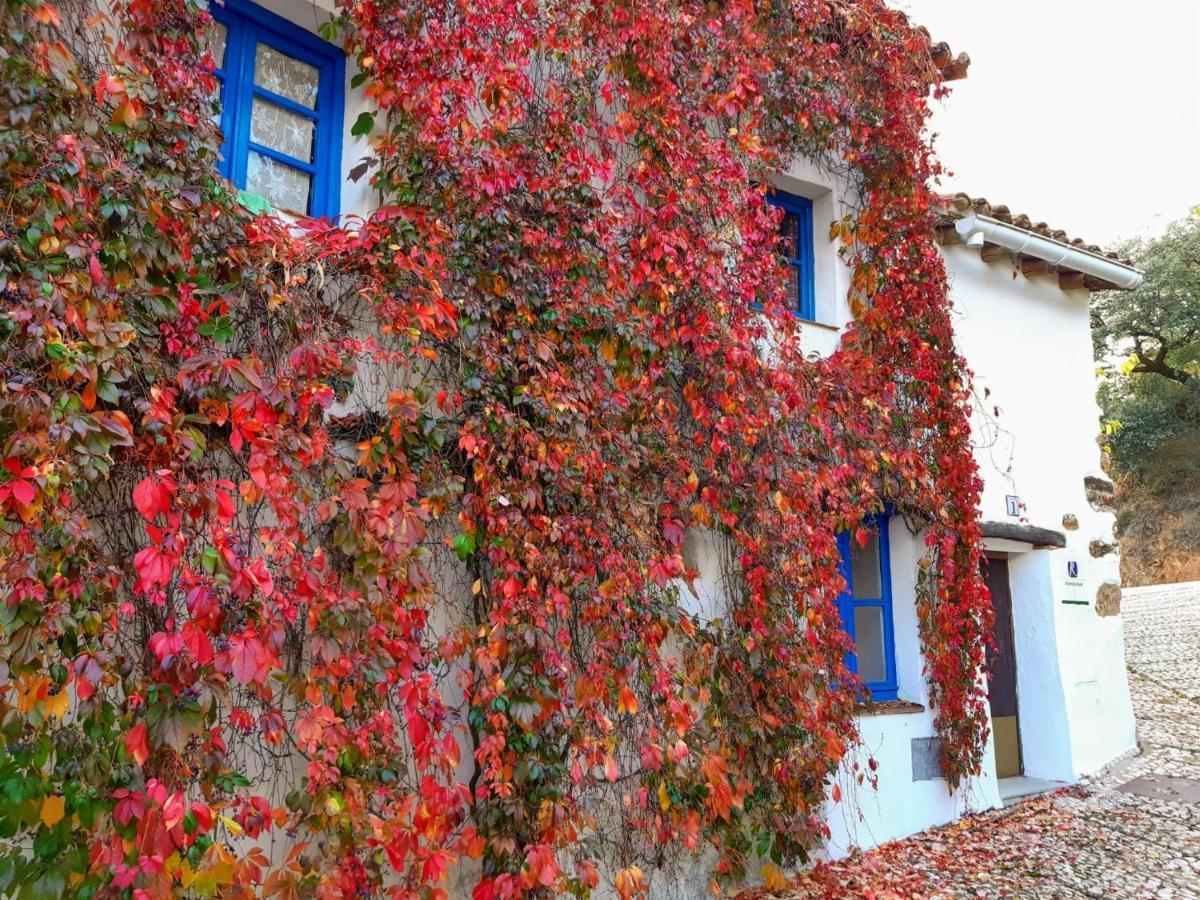 Casita Collado 1 Villa Alájar Dış mekan fotoğraf